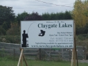 Claygate Lakes
