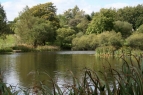 Cleabarrow Tarn