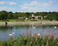 Clumber Park