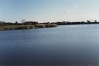 Combwich Ponds