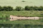 Cotefield Farm (Bodicote)