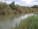 Cottington Lakes