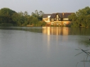 Cotton Farm