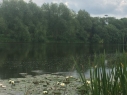 Dishley Pool