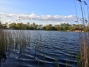 Dishley Pool