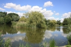 East Delph Lakes