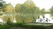 Elvington Fisheries