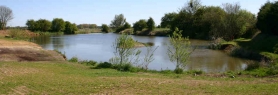 Emmotland Ponds