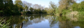 Emmotland Ponds