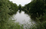 Emmotland Ponds