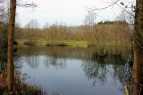 Felthorpe Lakes