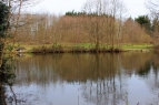 Felthorpe Lakes