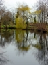 Felthorpe Lakes