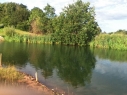 Fisherwick Lakes