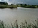 Grainthorpe Carp Lake