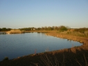 Grainthorpe Carp Lake