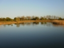 Grainthorpe Carp Lake