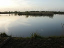 Grainthorpe Carp Lake