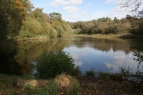 Harrow Pond