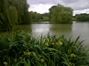 Hawkhurst Fish Farm