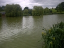 Hawkhurst Fish Farm