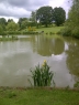 Hawkhurst Fish Farm