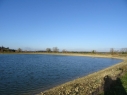 Highbridge Fisheries