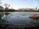 Hinchingbrooke Country Park