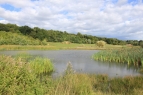 Hinchingbrooke Country Park