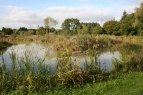 Holtwood Ponds