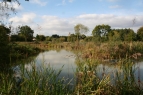 Holtwood Ponds