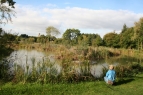 Holtwood Ponds