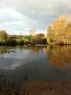 Home Farm Fishery Westfield