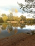 Home Farm Fishery Westfield