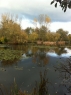 Home Farm Fishery Westfield