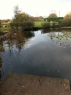 Home Farm Fishery Westfield