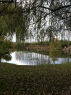 Home Farm Fishery Westfield