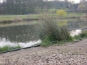 Hunters Lodge Fishery