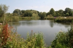 Ibsley Pools