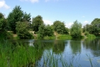 Iremongers Pond