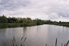 Lakemore Fisheries