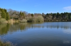 Lakeside Fishing Lake