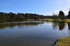 Lakeside Fishing Lake