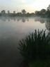 Lakeside View Carp Fisheries