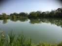 Lakeside View Carp Fisheries