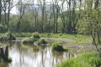 Limpenhoe Lakes