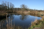 Limpenhoe Lakes