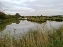 Lowfield Lakes