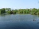 Marks Hall Fisheries