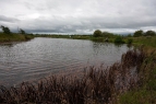 Mere Moor